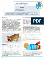 Canine Distemper Fact Sheet Final