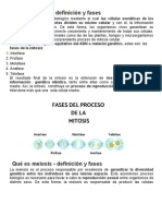 Mitosis y Meiosis.