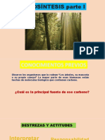 Fotosíntesis I