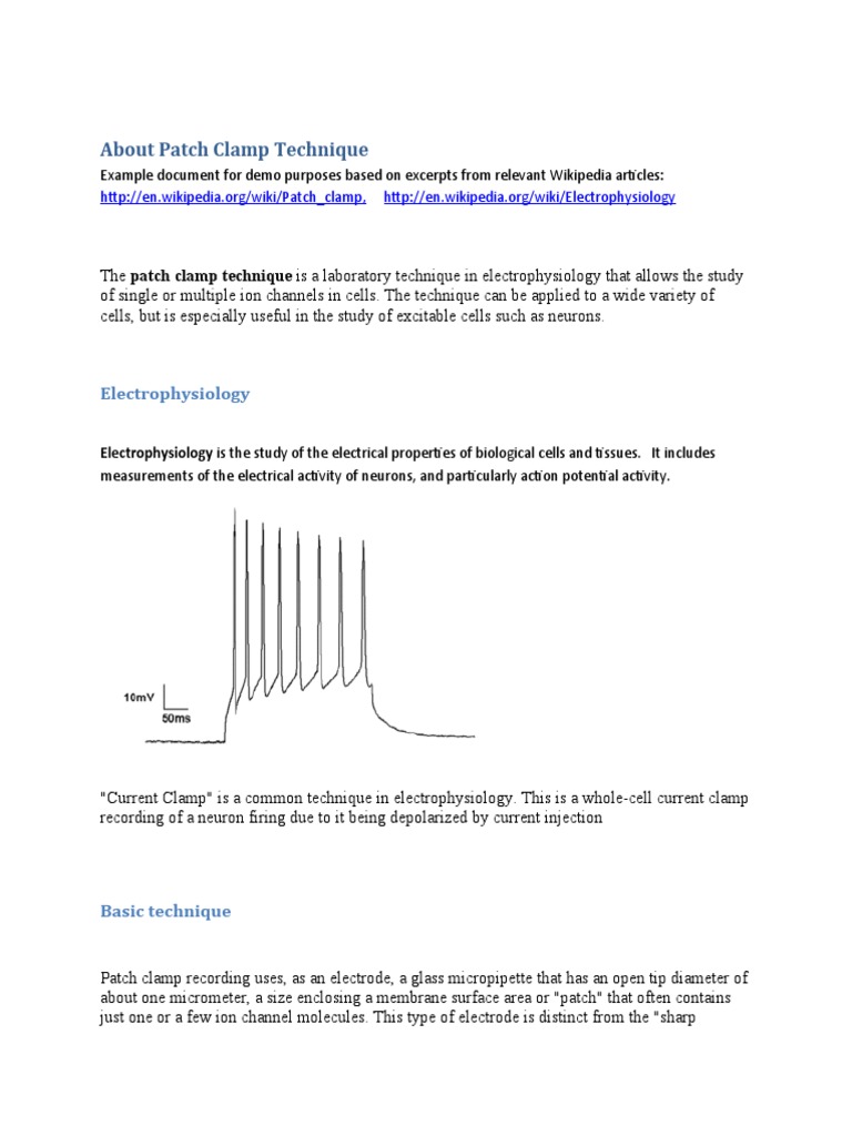Overview of Patch Clamp Techniques | PDF | Electrophysiology | Electricity