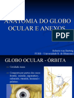 Anatomia Do Globo Ocular e Anexos