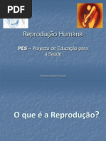 Anatofisiologia Dos Aparelhos Reprodutores
