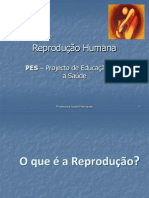 Anatofisiologia Dos Aparelhos Reprodutores