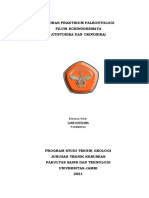 Laporan Paleontologi (Filum Echinodermata) - Gian Gustiana - F1D22013