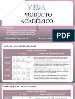 Producto Academico Ii