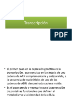 Transcripción