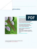 Glúcidos: estructura y clasificación