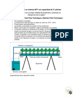 Copia de Construcción de Un Sistema NFT Con Capacidad de 21 Plantas