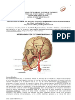 Circulacion Arterial y Venosa Del Sistema Dentario y Estructuras Perimaxilares