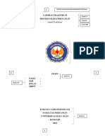 Panduan Laporan Praktikum Bioteknologi