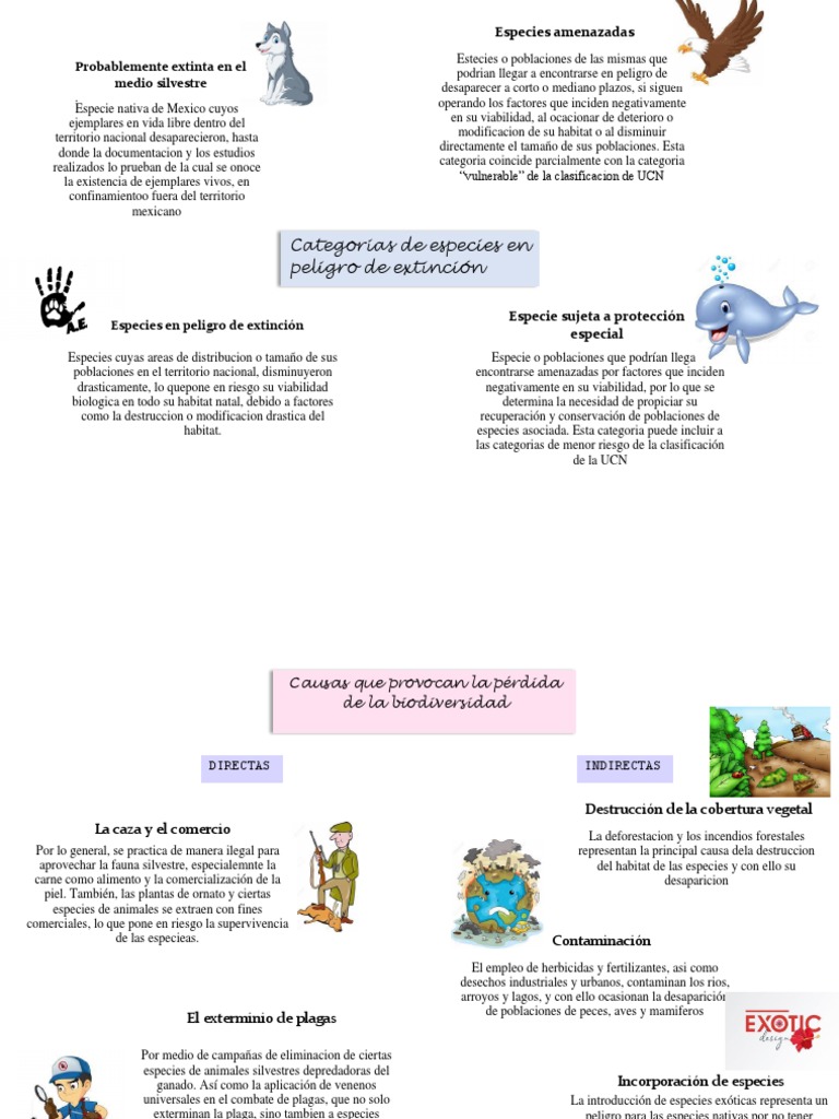 Categorías de Especies Amenazadas | PDF | Especie en peligro | Extinción