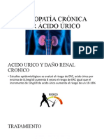 Nefropatía Crónica Por Ácido Úrico