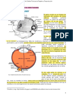 Manual TRyP 01 - Fisología de La Visión