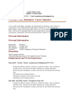 Cleaner Blank CV Download