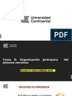 Clase Semana 5 Organización Jerárquica Del SN Actual