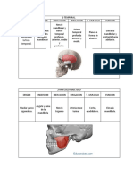 Musculos 22.2