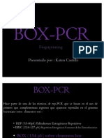 Box PCR