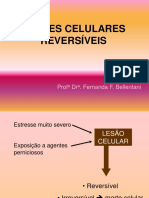 Aula 2 - Lesões Celulares Reversíveis - Parte I