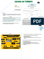 Psicologia Do Trânsito