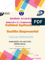 Hojas de Verificacion - Janet Arely Francisco de Dios