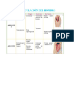 Articulación Del Hombro