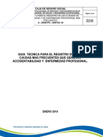 07 - Guía Técnica para El Registro de Las 5 Causas de Accidentabilidad y Enfermedad Profesional Más Frecuentes