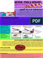 Infografía Treponema Pallidum.