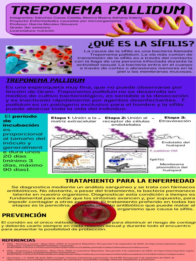Infografía Treponema Pallidum. PDF Las bacterias Especialidades