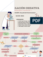 Sem 6 Bioquimica y Nutrición Teoria