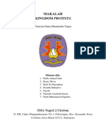 Makalah Kingdom Protista