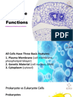 Cellular Structure and Functions Explained