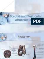 Scrotal Abnormalities