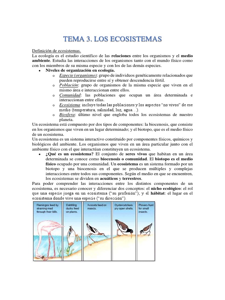 TEMA 3 Ecosistemas | PDF | Ecosistema | Suelo