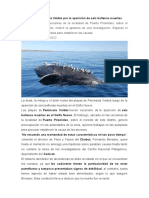 Misterio en Península Valdés Por La Aparición de Seis Ballenas Muertas