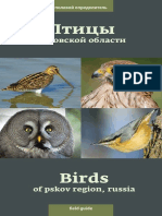 Birds of Pskov Region