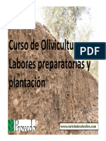 Curso de Olivicultura. Preparacion y Plantacion