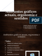 Ambientes Gráficos Actuais, Ergonomia e Sentidos