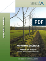 Agroforestazione