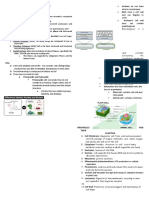 General Biology Q1 Reviewer