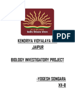 Bio Investigatory File