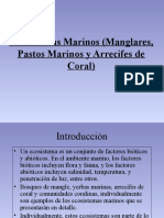 Ecosistemas MarinosManglares PastosMarinos Arrecifes