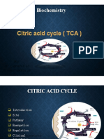 Citric Acid Cycle PDF