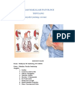 Tugas Makalah Patologi PJK