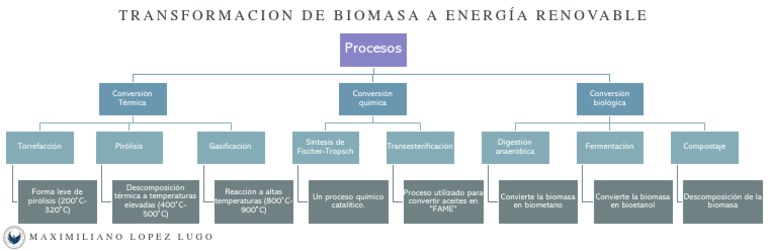 Biomasa Mapa Conceptual | PDF