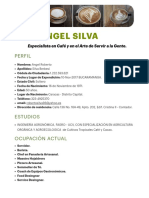 Hoja de Vida (Angel Silva)