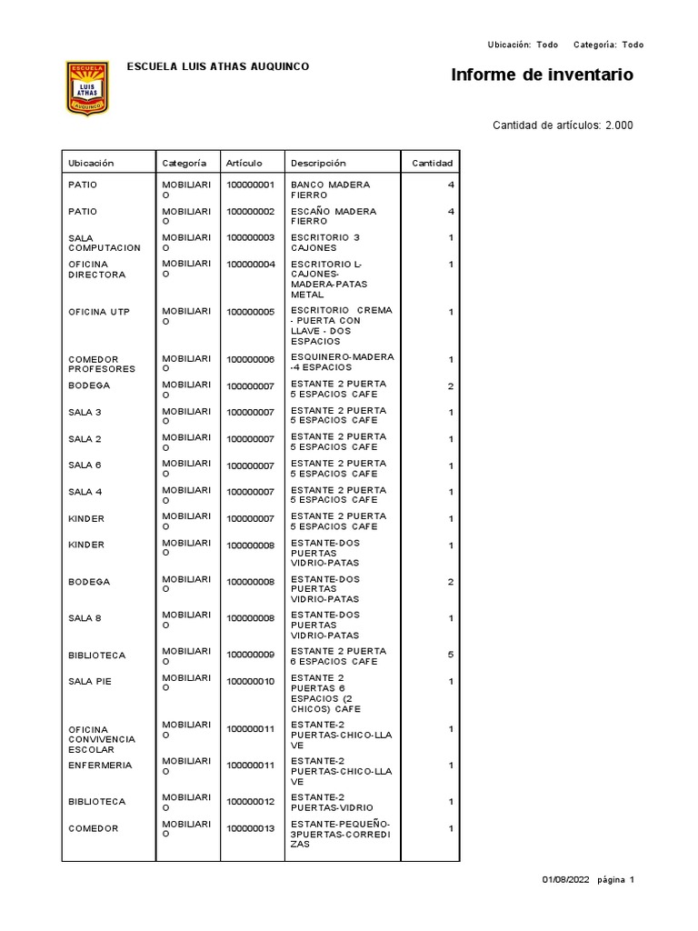 Informe de Inventario | PDF | Informática