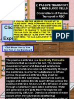 Passive Transport - Virtual Lab