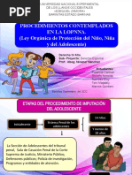 Procedimientos Establecidos en La LOPNNA