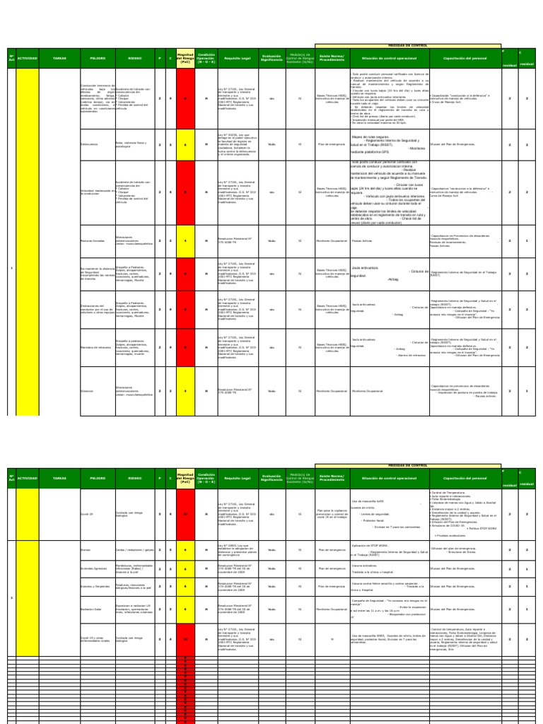 Control de Riesgos Laborales y Seguridad | PDF | Ciencias de la Salud