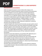 Respirazione e Fermentazione-microbiologia